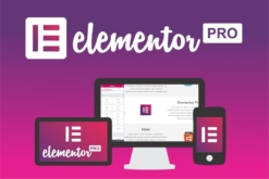 Elementor Pro - Thiết kế trang web chuyên nghiệp, đẹp mắt