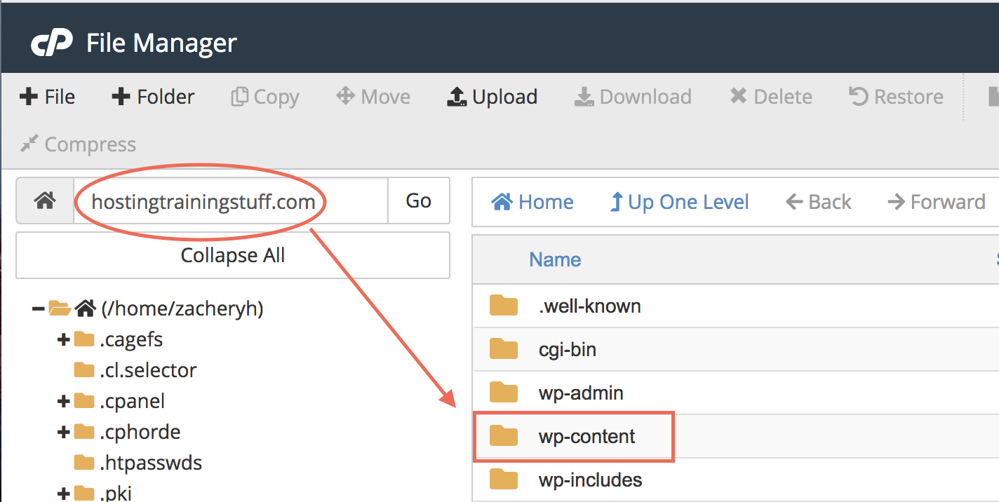 Trong thư mục này, bạn sẽ thấy một thư mục gọi là "wp-content"