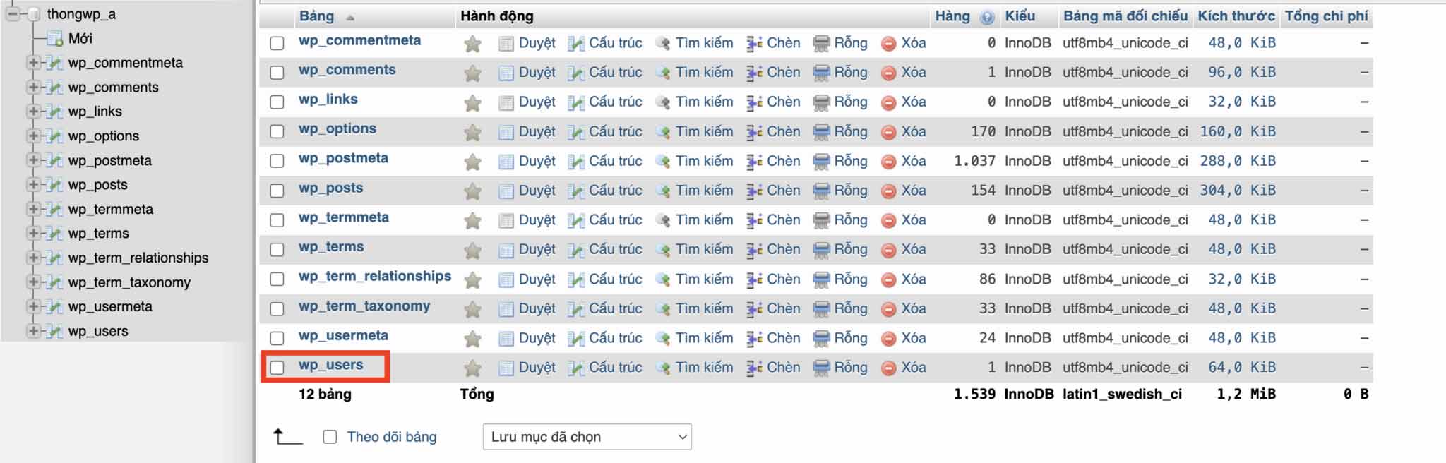 Bấm chọn dòng wp_users