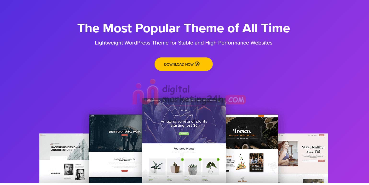 Theme Astra