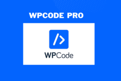 WPCode-Pro